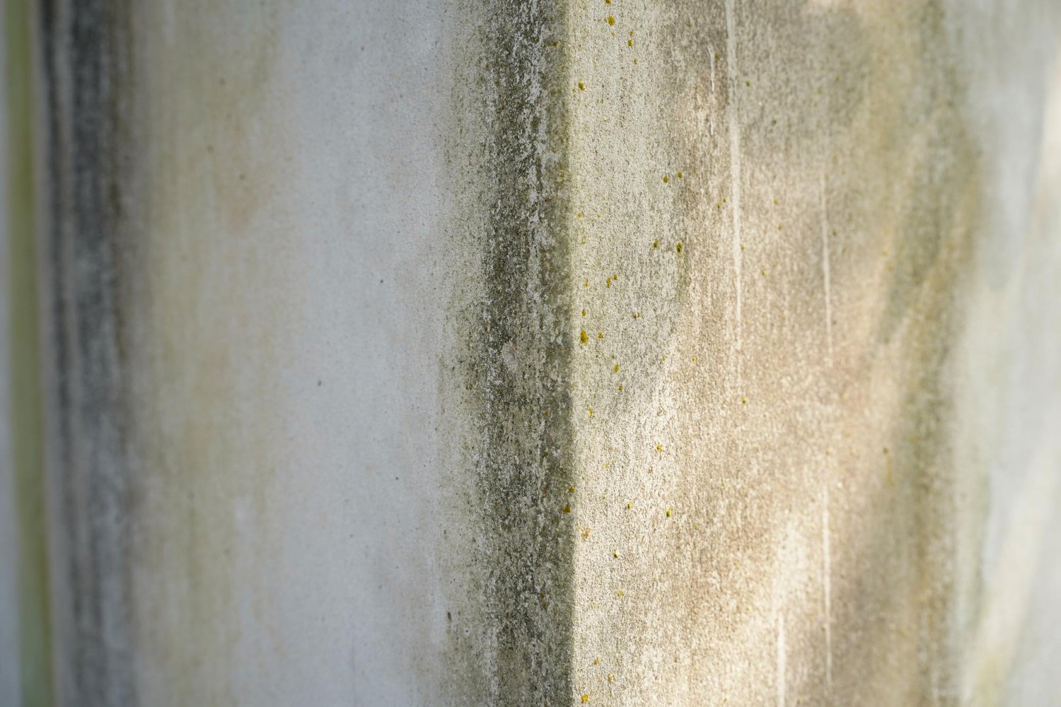 Moisture Inspections in Palm Beach County, FL