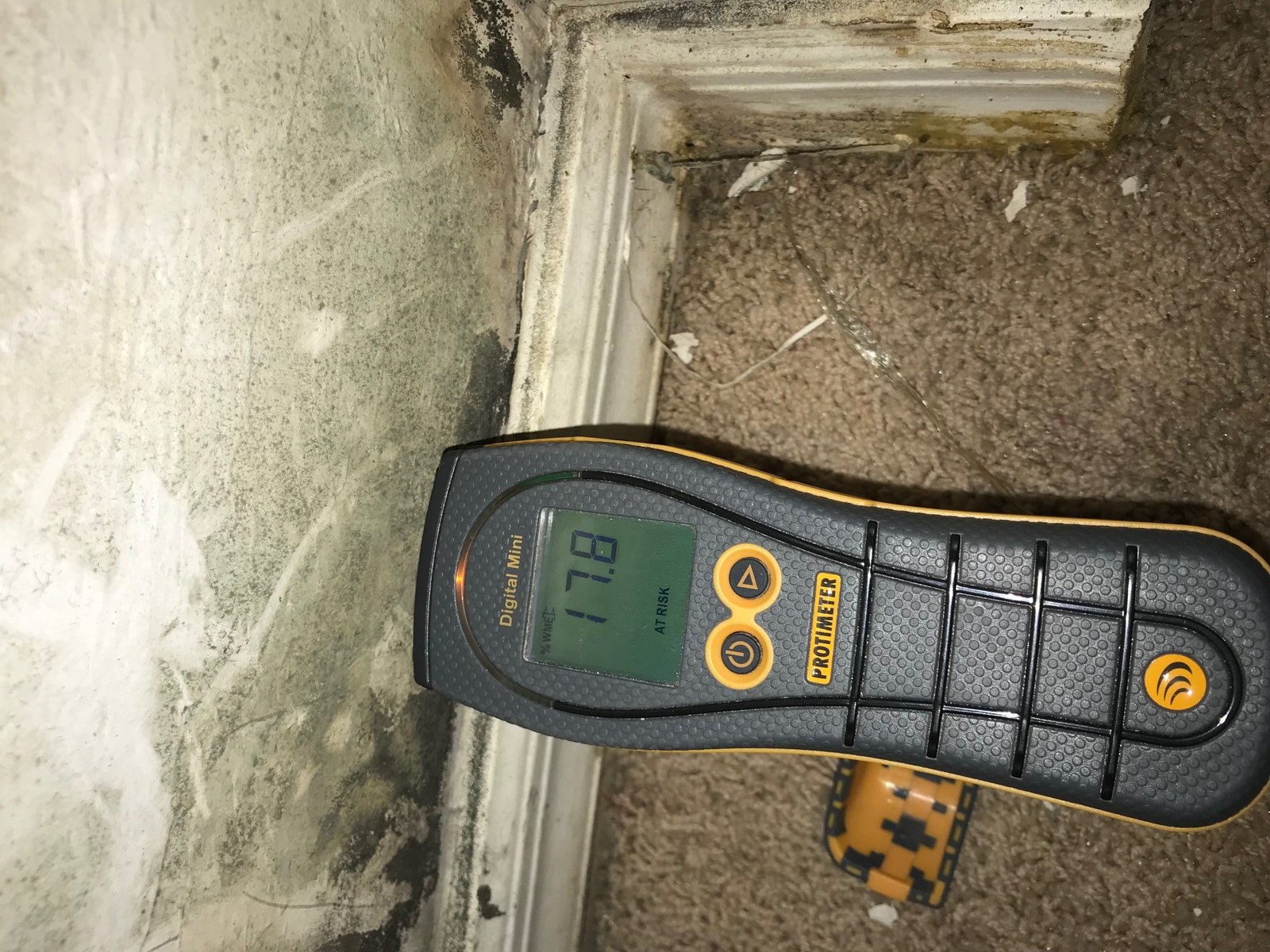 Mold Testing in Palm Beach County, FL