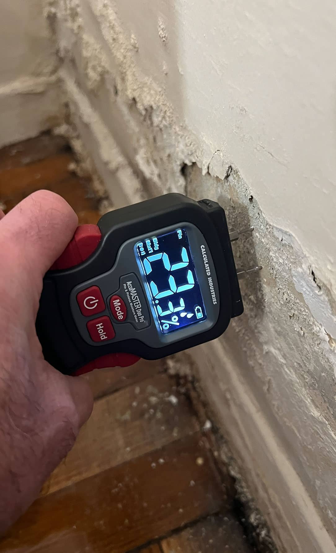 Mold Inspections in Palm Beach County, FL