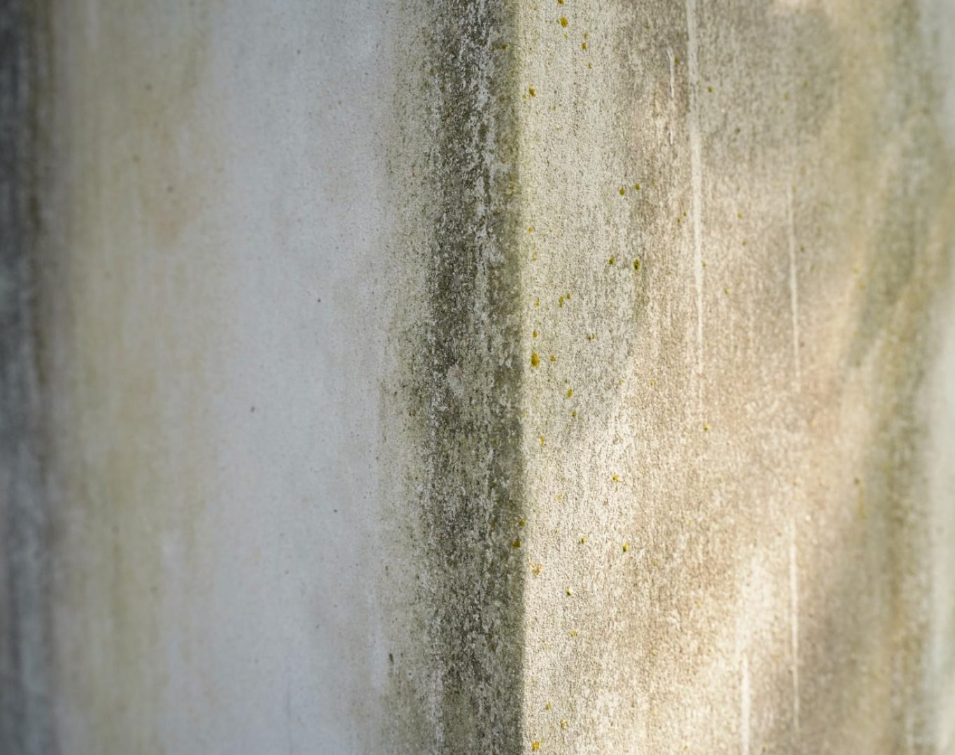 Moisture Inspections in Palm Beach County, FL