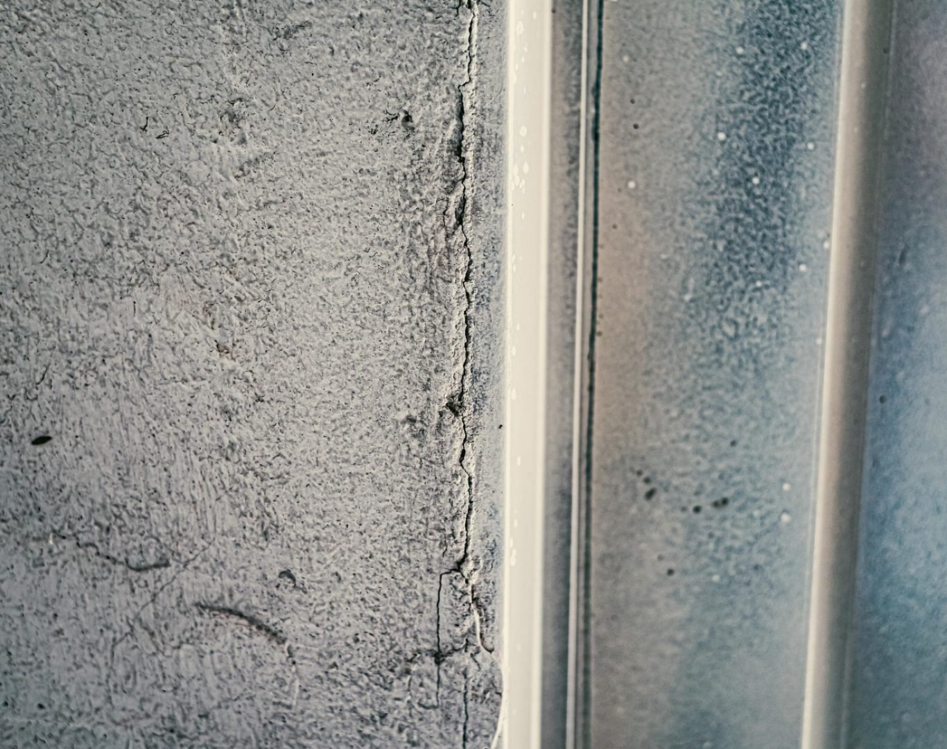 Moisture Inspections Near Me