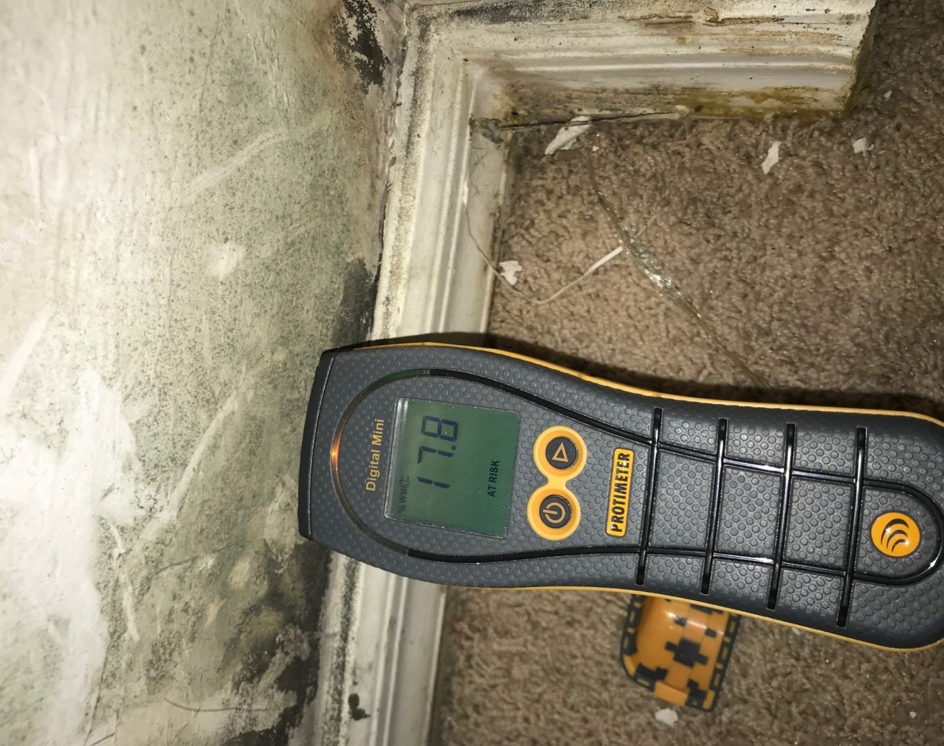 Mold Testing in Palm Beach County, FL