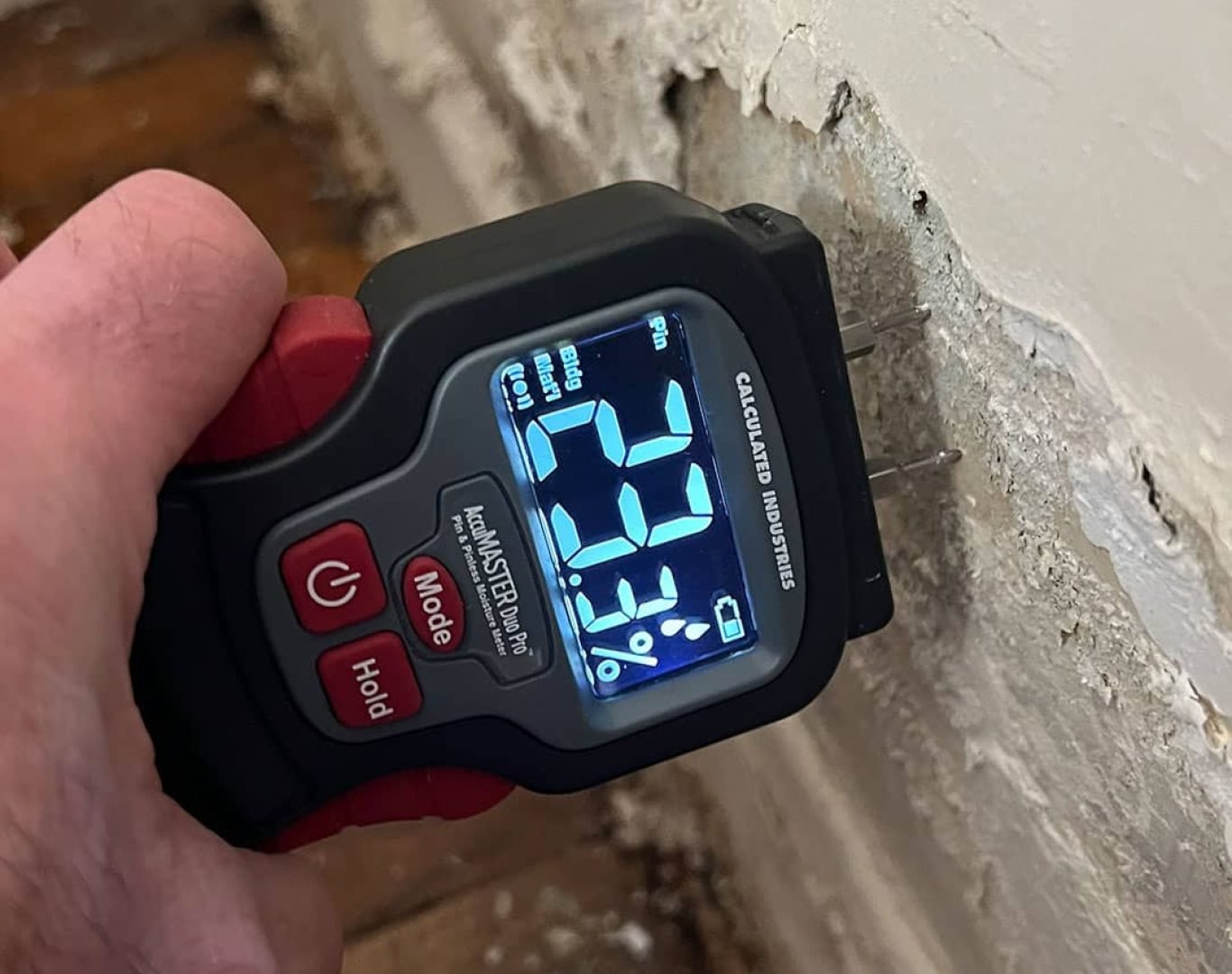 Mold Inspections in Palm Beach County, FL
