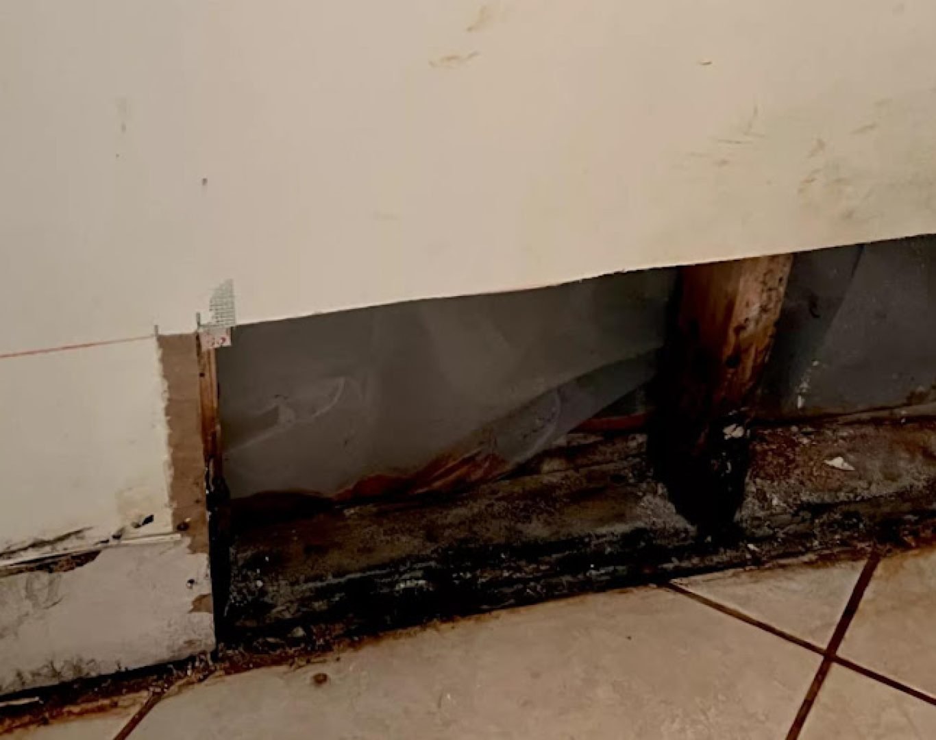 Mold Inspections Near Me